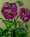 Pansies 